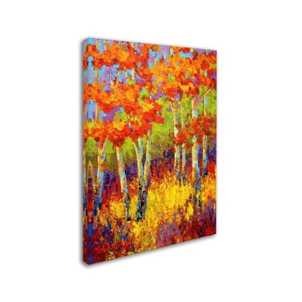 Marion Rose 'Evening Glow' Canvas Art,24x32